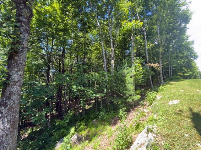 Land for sale in Boone, Watauga County