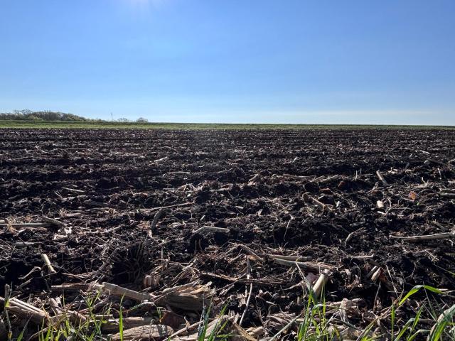 Land for sale in Grant, Minnesota
