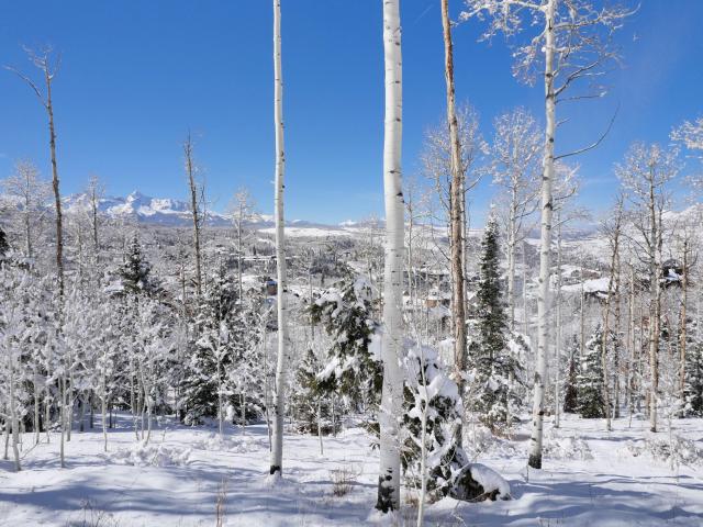 Land for sale in Mountain Village, Colorado