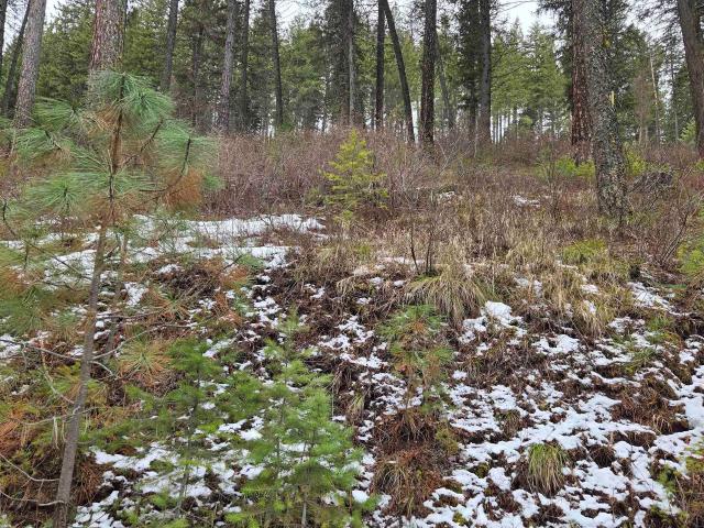 Land for sale in New Meadows, Idaho