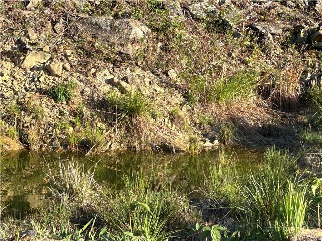 Land for sale in Todd, North Carolina
