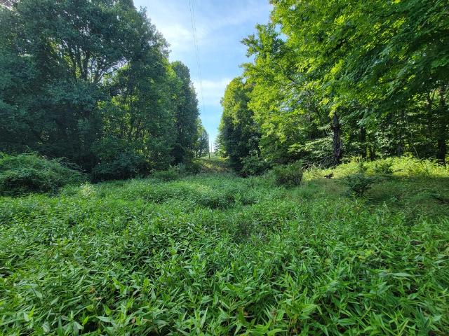 Land for sale in Virginia