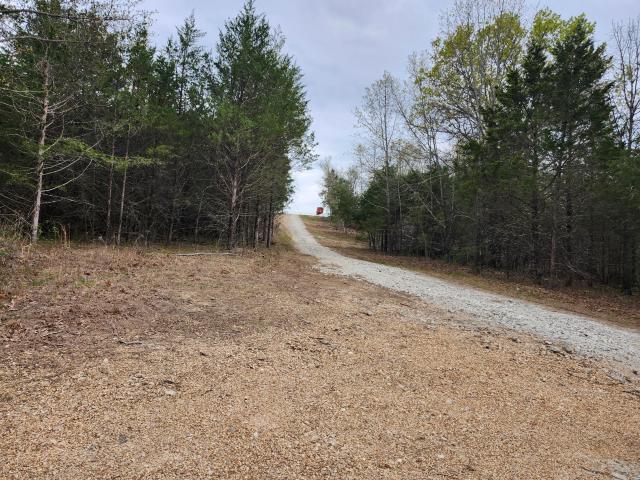Land for sale in Mountain Grove, Texas County