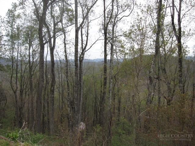 Land for sale in Todd, North Carolina