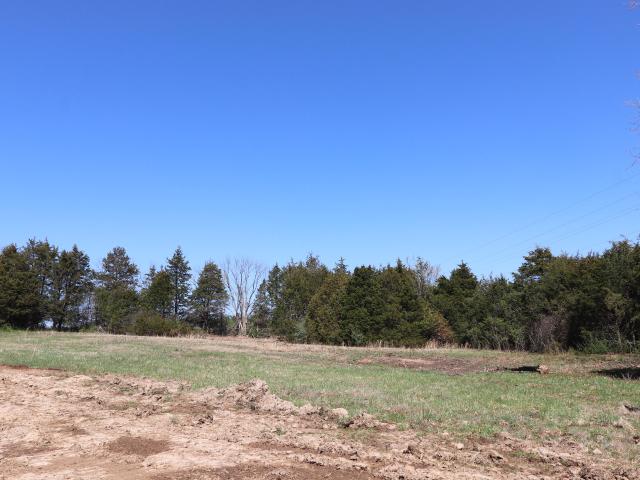 Land for sale in Fulton