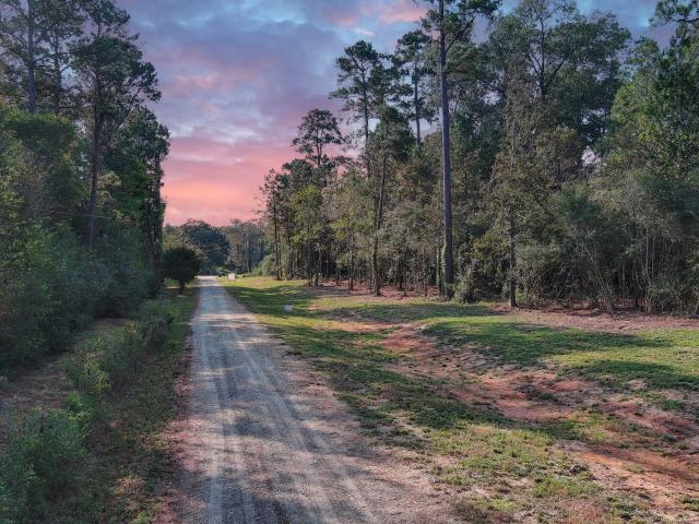 Land for sale in Walker, Texas