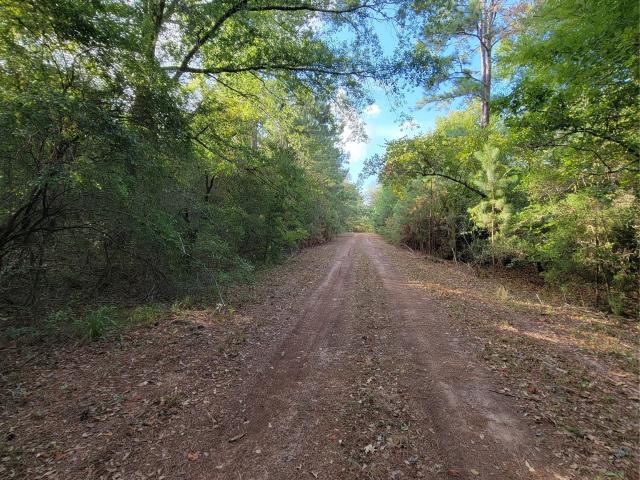 Land for sale in Hempstead, Texas