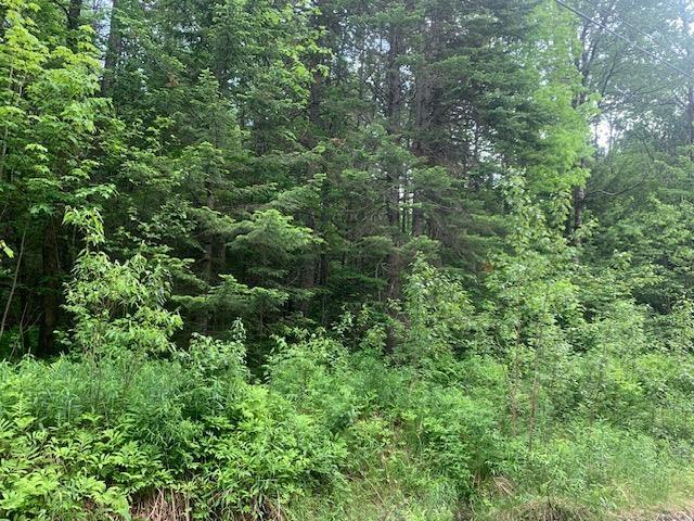 Land for sale in New Hampshire
