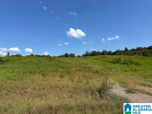 Land for sale in Vincent, Alabama