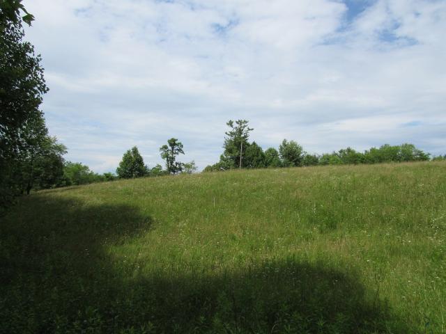 Land for sale in Virginia