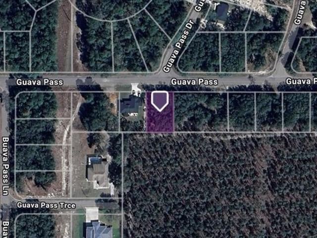 Land for sale in Ocklawaha, Florida