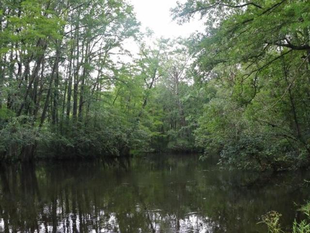 Land for sale in Springfield