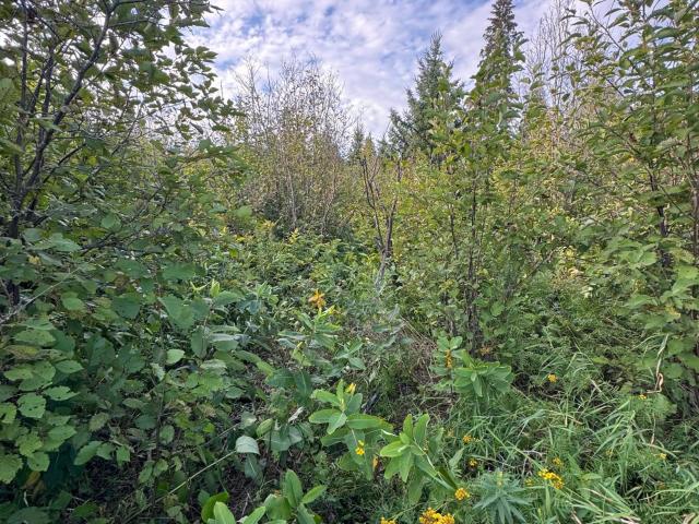 Land for sale in Tenstrike, Beltrami County
