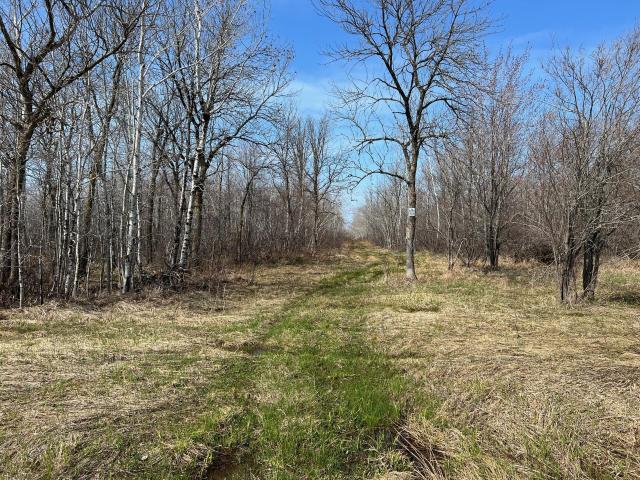 Land for sale in Maple, Wisconsin