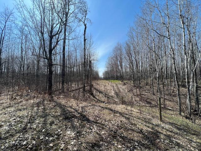 Land for sale in Maple, Wisconsin