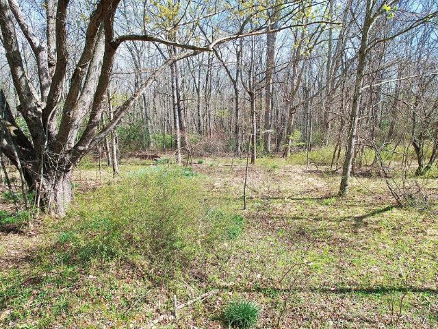 Land for sale in Virginia