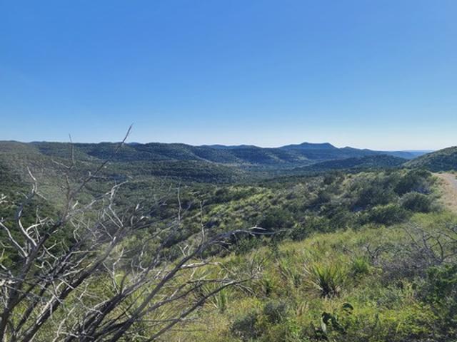 Land for sale in Uvalde, Texas