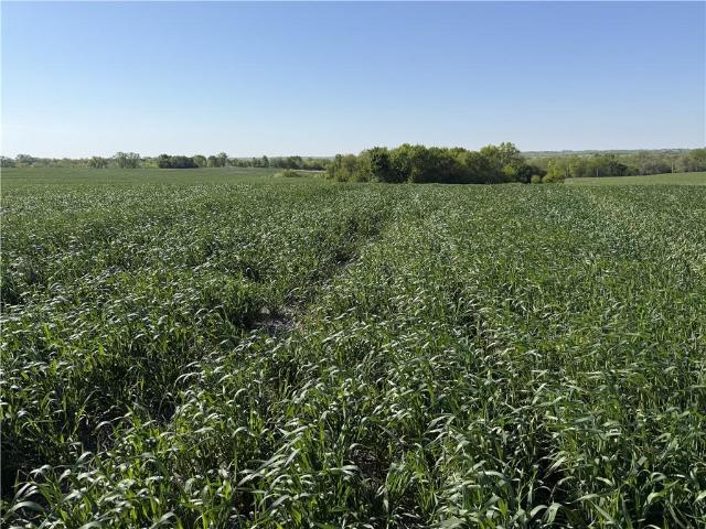 Farm for sale in Gentry, Missouri