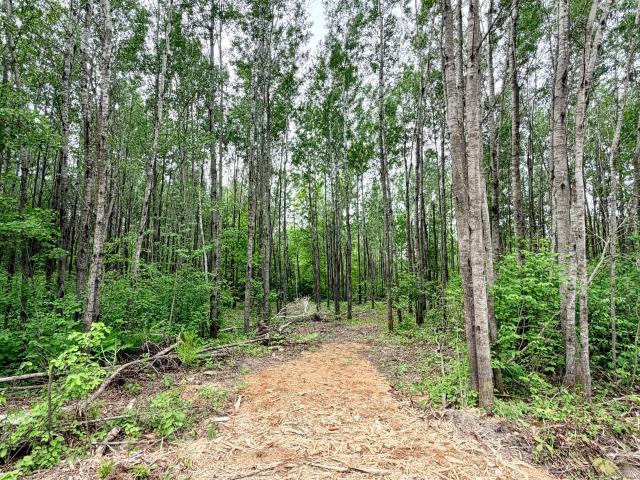 Land for sale in Hubbard, Minnesota