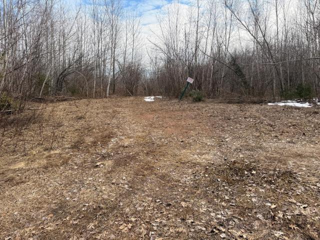 Land for sale in Minnesota