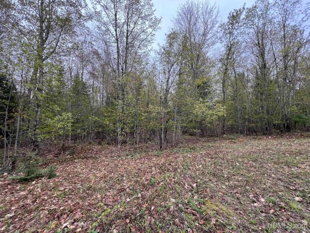 Land for sale in Au Train, Michigan