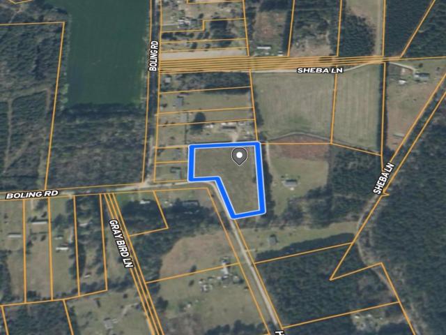 Land for sale in Pamplico, South Carolina