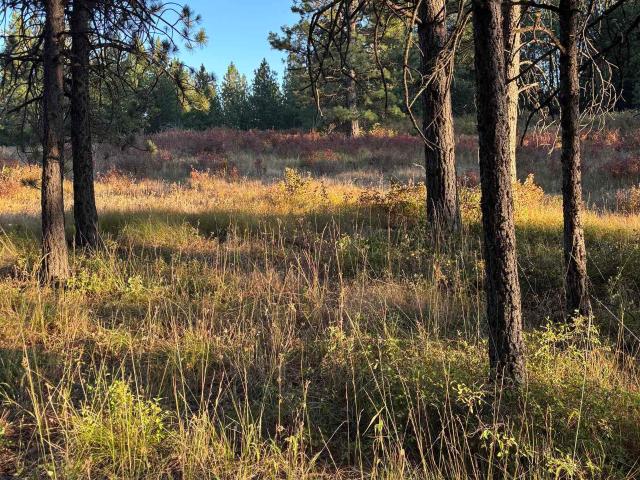 Land for sale in Asotin, Washington