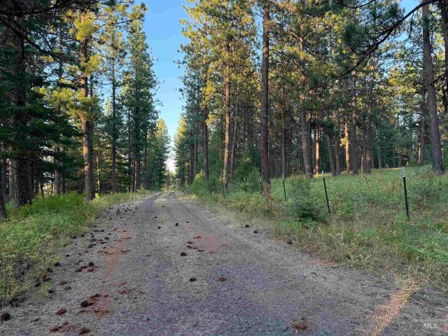 Land for sale in Asotin, Idaho