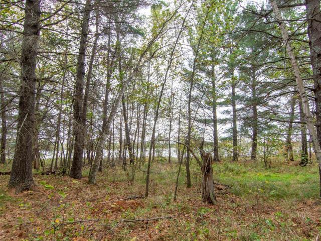 Land for sale in Backus, Minnesota