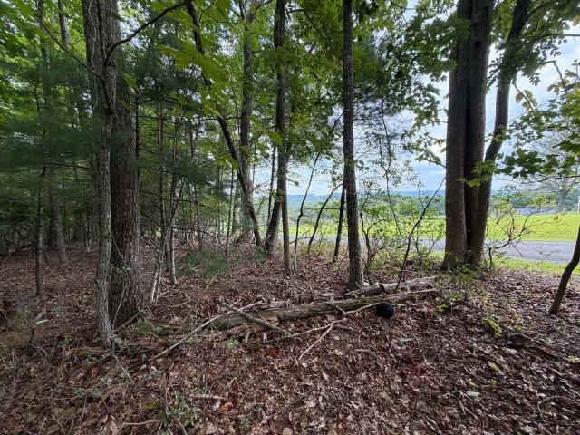 Land for sale in Carroll County, Virginia