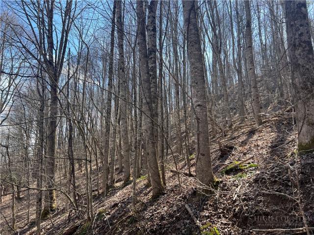 Land for sale in Lansing, Ashe County