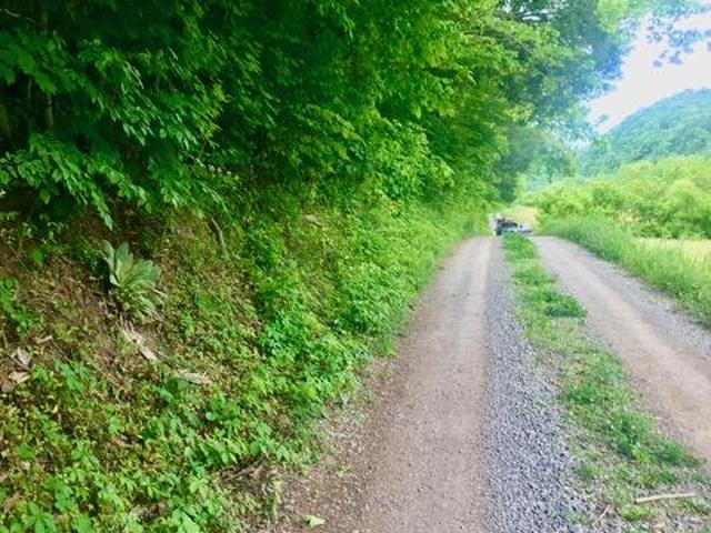 Land for sale in Tennessee