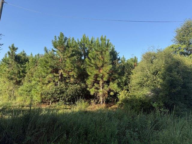 Land for sale in Deridder, Louisiana