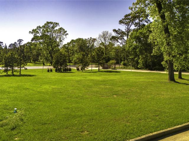 Land for sale in Polk, Texas
