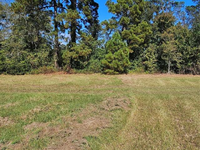 Land for sale in Walker, Texas