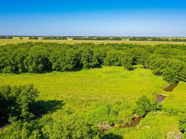 Land for sale in Blum, Texas