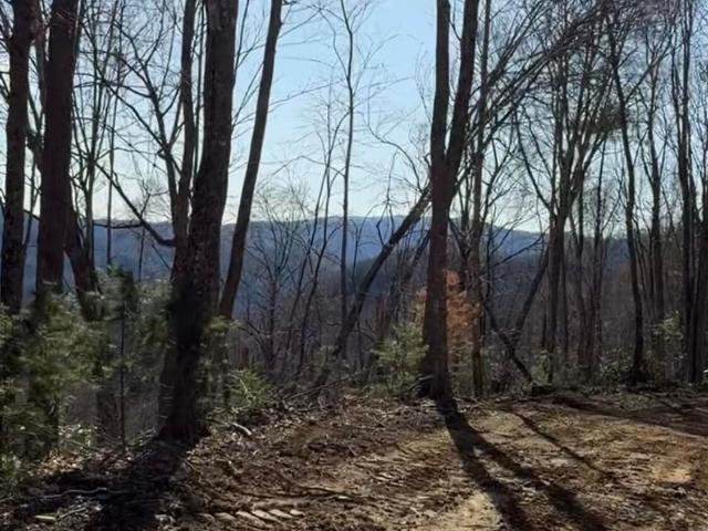 Land for sale in Tennessee