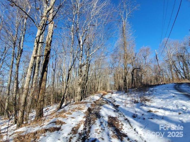 Land for sale in Spruce Pine, North Carolina