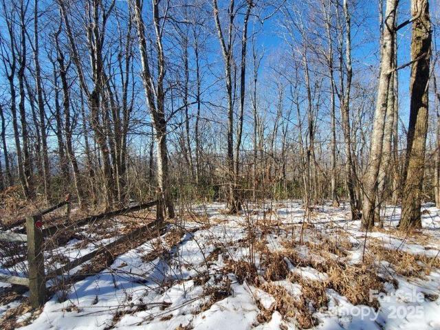 Land for sale in Spruce Pine, North Carolina