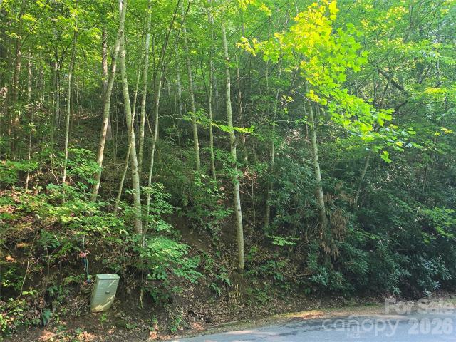 Land for sale in Haywood, North Carolina