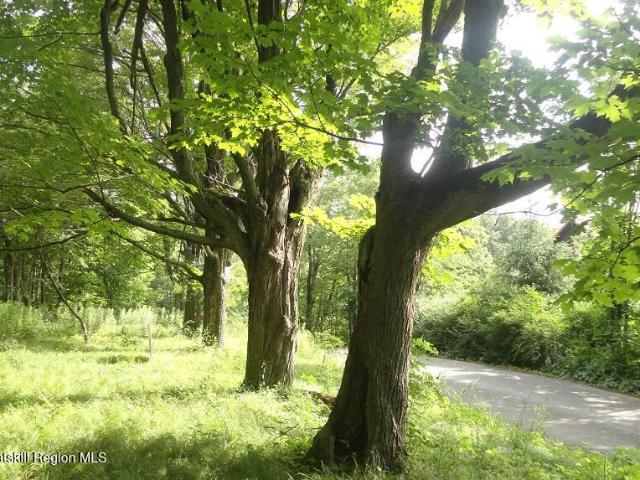 Land for sale in Accord, New York