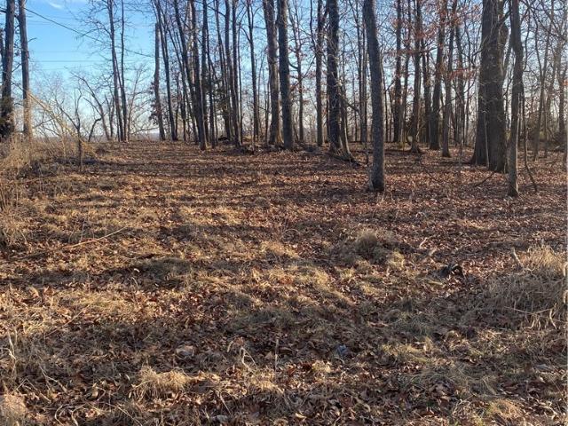 Land for sale in Lake Ozark, Missouri