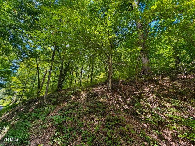 Land for sale in Tennessee