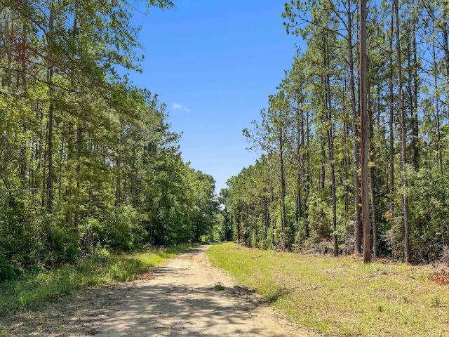 Land for sale in Newton, Texas
