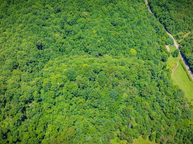 Land for sale in Tennessee