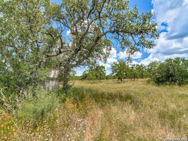 Farm for sale in Mason, Texas