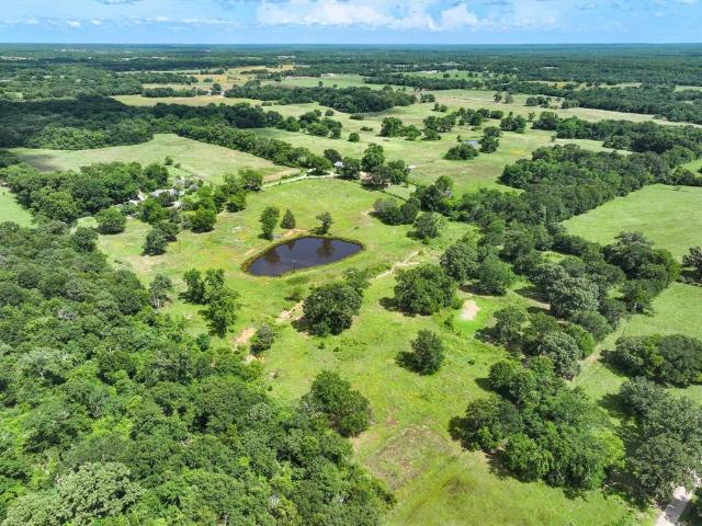 Land for sale in Van, Texas