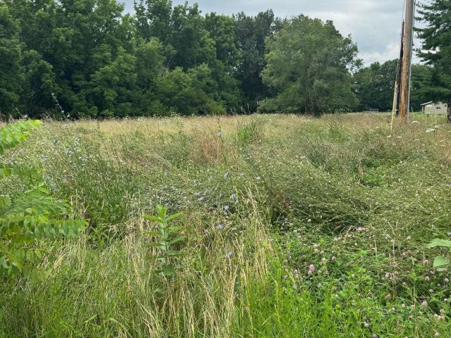 Land for sale in Williamsport, Indiana