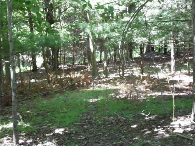 Land for sale in Alleghany, North Carolina