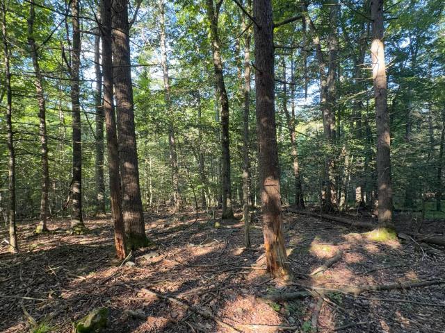 Land for sale in Arkville, New York